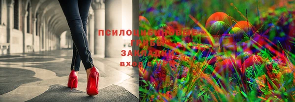 амф Тутаев