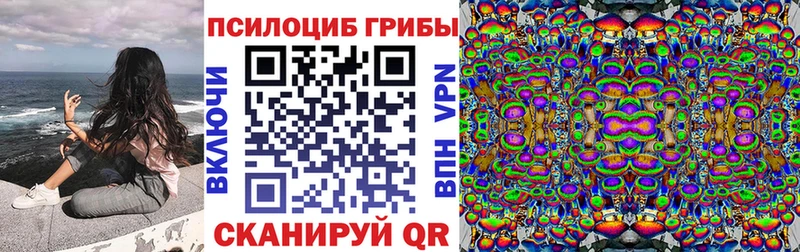 Купить закладки  Давлеканово  Псилоцибиновые грибы Psilocybine cubensis 